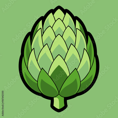 artichoke isolated on vector