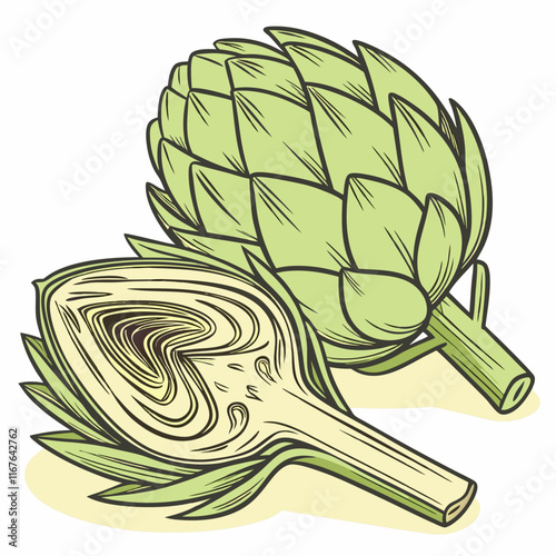 illustration of a artichoke