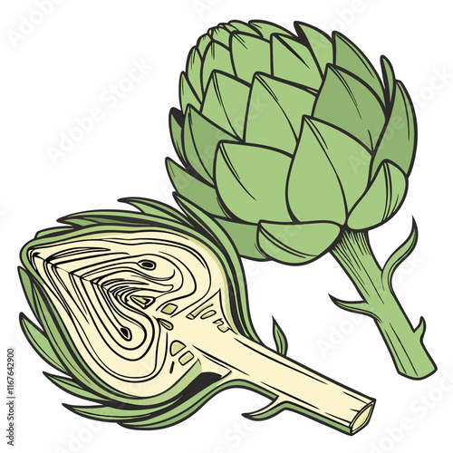 illustration of artichoke