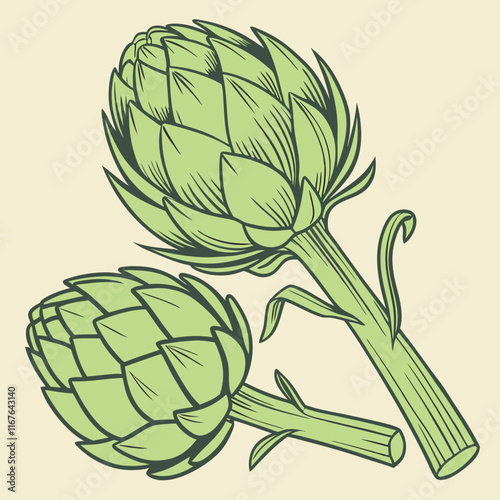 illustration of a artichoke