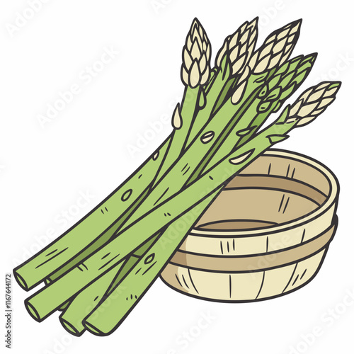green asparagus on white