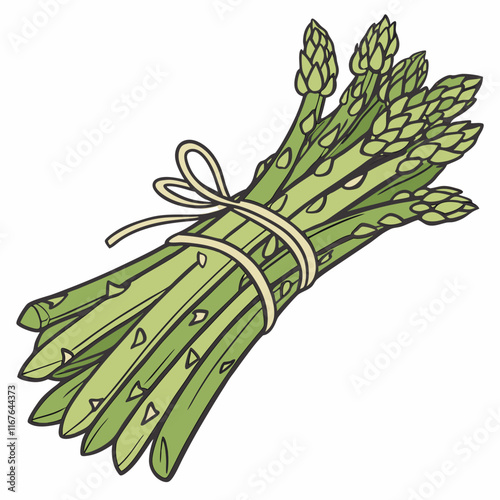 bunch of asparagus