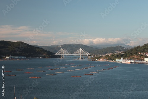 Bateas en la ría de Vigo y puente de Rande al fondo. photo