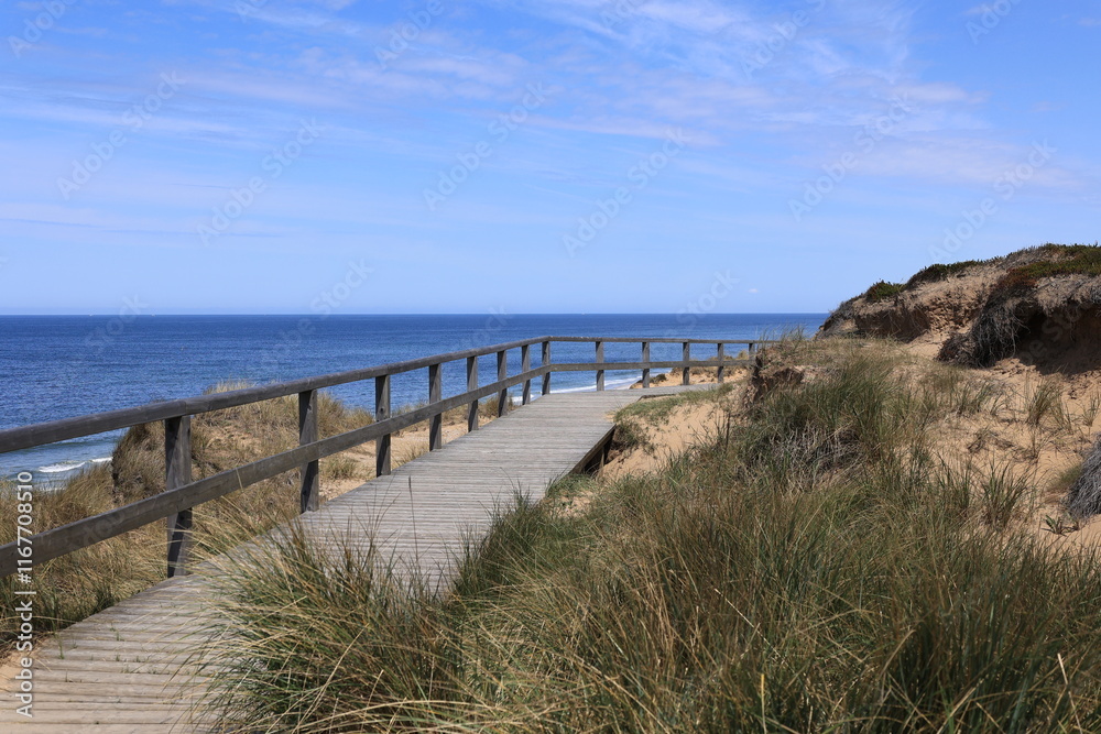 Obraz premium Blick auf die Küstenlandschaft bei Kampen auf der Nordfriesischen Insel Sylt