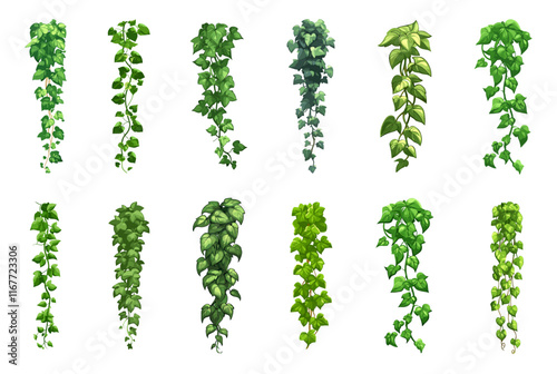 Vertical ivy liana set. green vines with leaves borders. Tree branch tropics hanging greenery. Hedera tree lianas. Nature botanical decorative design element. Cartoon style isolated vector clipart