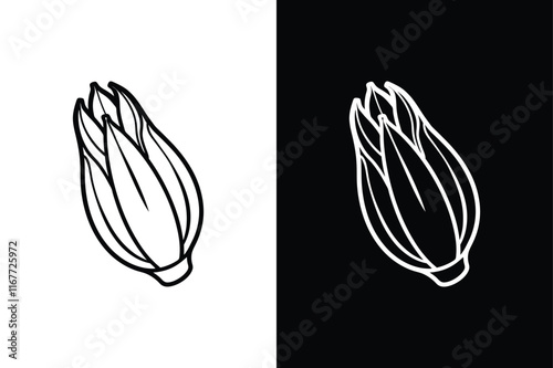 Endive icon vector on White Background ,Vector Art Illustration on white background.