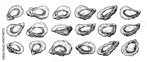 Oysters engraving vector set. Seafood shell fresh luxury, bivalves clams mussels mollusks ocean marine restaurant food, hand drawn sketch black monochrome isolated vectors