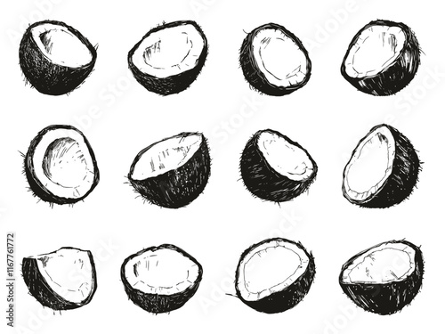 Coconut Halves Set Icons Linocut Style On White Background Tropical Coconut Illustrations Brown Fruit Graphics Organic Shell Kitchen Artwork Natural Produce Healthy Eating