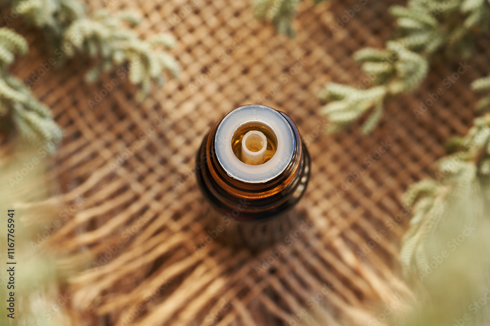 A bottle of aromatherapy essential oil with fresh santolina leaves A bottle of aromatherapy essential oil with fresh santolina leaves