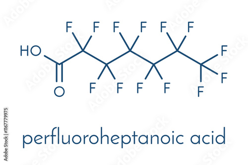 Perfluoroheptanoic acid (PFHpA) PFAS molecule. Skeletal formula.