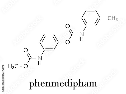 Phenmedipham herbicide molecule. Skeletal formula.