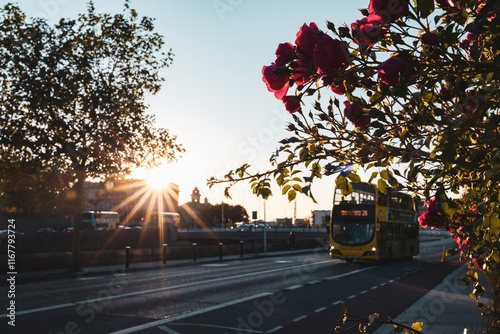 Double Decker Bus in Dublin with flowers photo