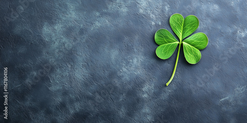 Three-leaf clover on gray stone surface with empty space. Textured background for St.Patrick's day with symbol of luck and fortune