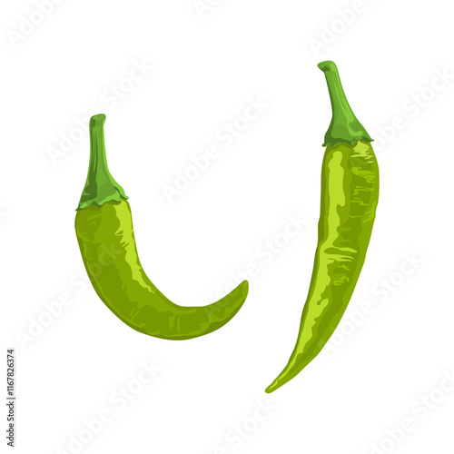 green hot chili pepper vector illustration isolated on white.