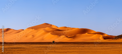 Tadrart Rouge, meaning Red Mountain, a mountain range in southeastern Algeria, part of the Algerian Desert providing massive dunes, rock formations and Martian landscapes photo