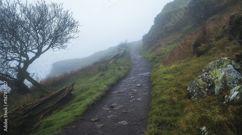 Tranquil Coastal Path: Moody Foggy Scene with Driftwood and Soft Light Emanating Calm and Exploration Vibes photo