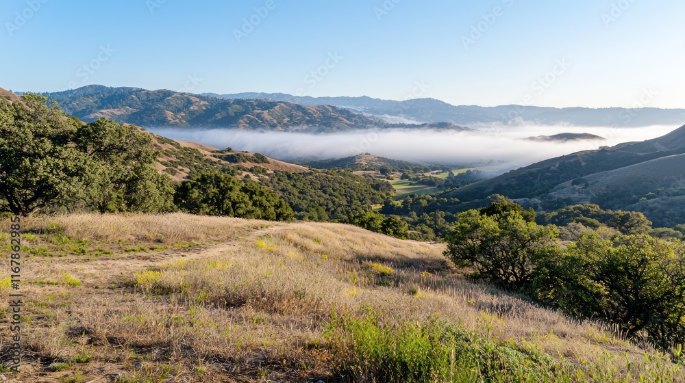 Serene Dawn: Foggy Hilltop Overlooking Valleys with Soft Morning Light - Tranquil Landscape Photography Serene Dawn: Foggy Hilltop Overlooking Valleys with Soft Morning Light - Tranquil Landscape Photography
