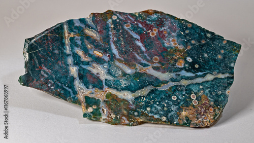 Polished Belvedere Jasper Bloodstone with veins photo