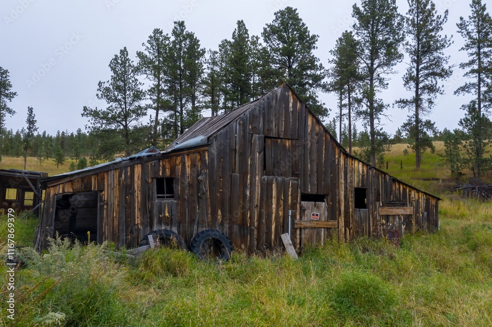 Abandoned weathered barn in a grassy field, surrounded by pine trees. No trespassing sign on the door. Rural, rustic scene. , Deadwood, South Dakota, USA. Abandoned weathered barn in a grassy field, surrounded by pine trees. No trespassing sign on the door. Rural, rustic scene. , Deadwood, South Dakota, USA.