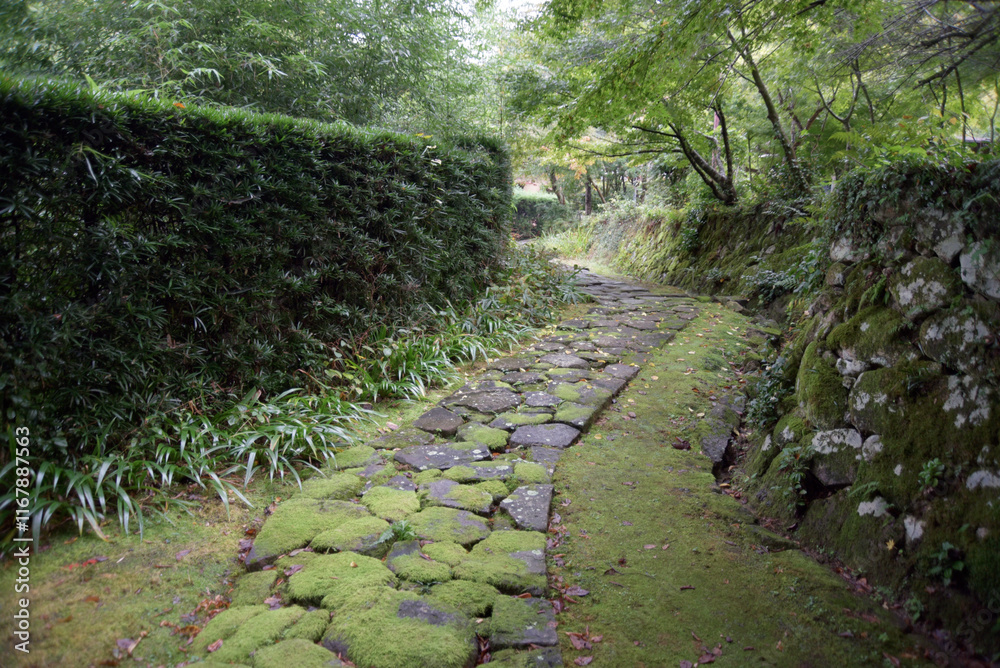 Obraz premium 金剛輪寺 赤門から明寿院への参道 滋賀県愛知郡愛荘町