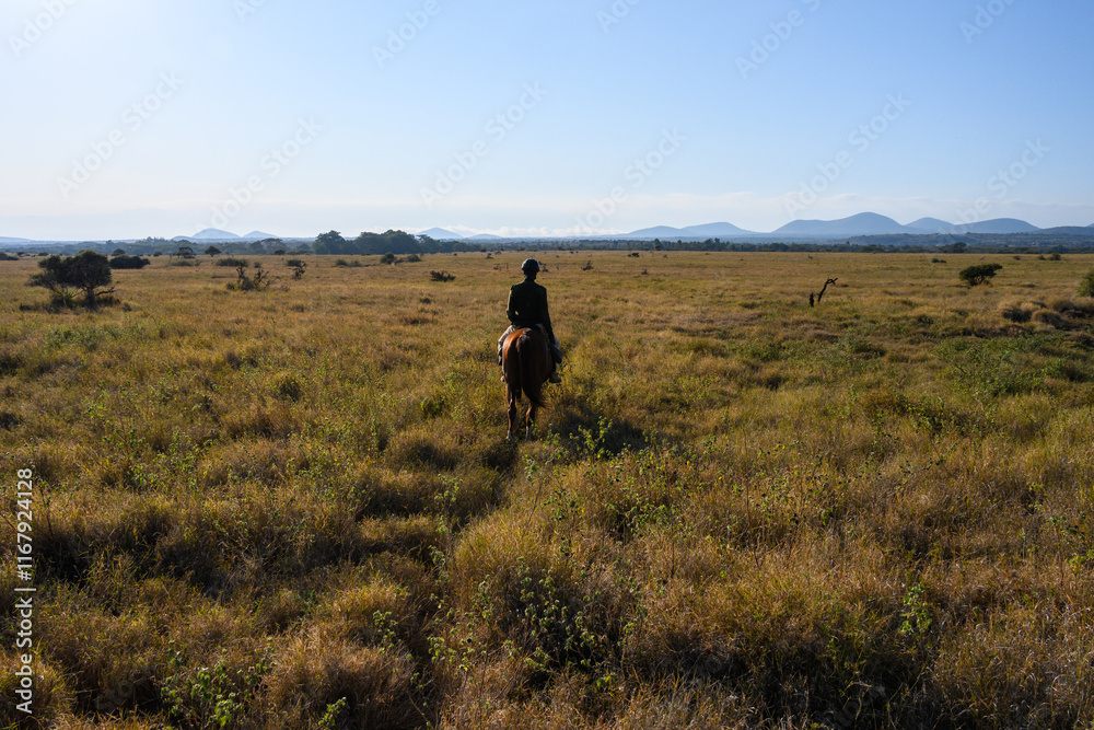 View from horseback, guide on horse leading safari ride across dry grass savanna, Lewa Conservancy, African wildlife adventure safari in Kenya
View from horseback, guide on horse leading safari ride across dry grass savanna, Lewa Conservancy, African wildlife adventure safari in Kenya