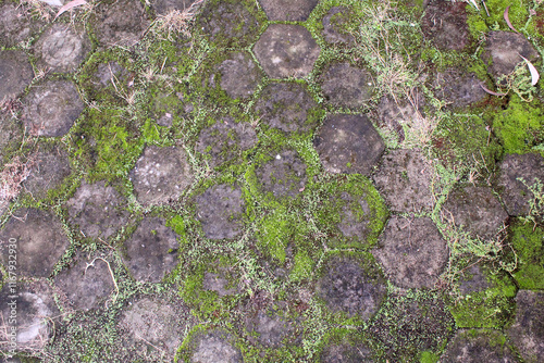 Close up of the texture pattern of the hexagonal paving block, which is covered in moss around it.