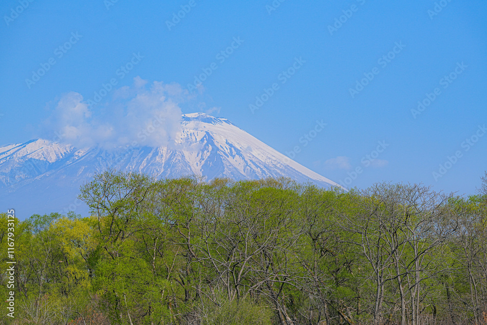 Obraz premium 岩手山