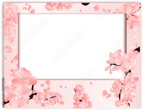Pink Frame With Sakura Bloom, Cherry Blossom Border,  Plum Flower Tree Decoration