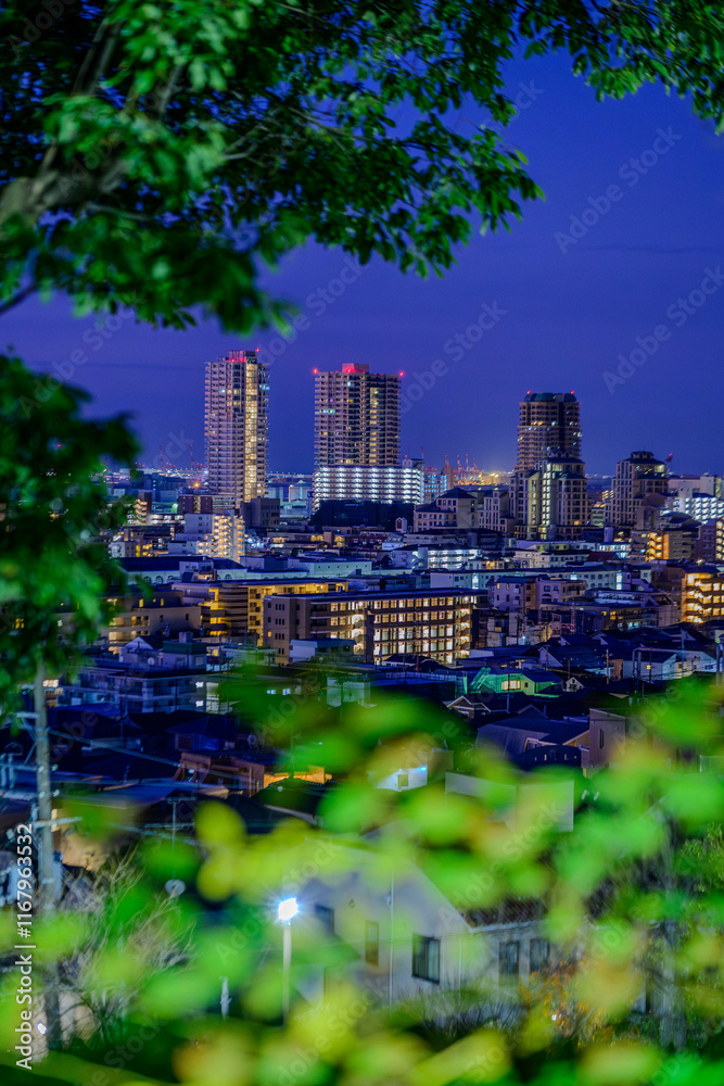 Naklejka premium 夜明け前の神戸の街。東灘区岡本の高台にある梅林公園より冬の明け方に撮影