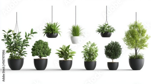 84.A detailed vector illustration of a set of indoor plants arranged in decorative plastic pots and stylish hanging baskets. The plants vary in size, with leafy greens and small trees, offering a photo