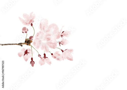 春に咲く桃色の桜の枝