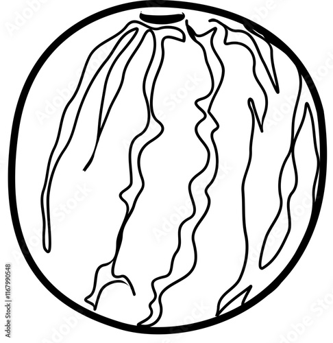 watermelon coloring book photo