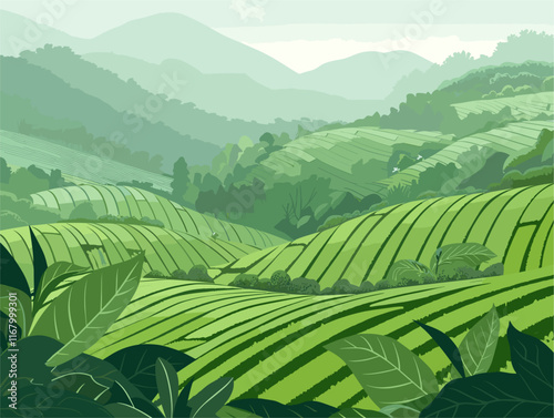 Emerald Tapestry: A Tranquil Tea Plantation Landscape in Vibrant Vector Art