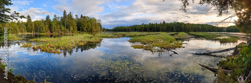 Beaver dams and blue skies are reflected in the flat waters of a large pond in Quebec near Montreal