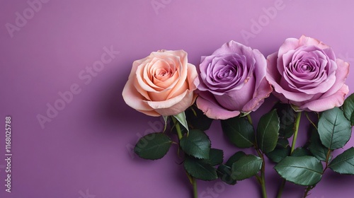 Elegant lilac roses in a soft purple arrangement perfect for wedding invitations, romantic events, or floral advertisements. Captures serenity and beauty.