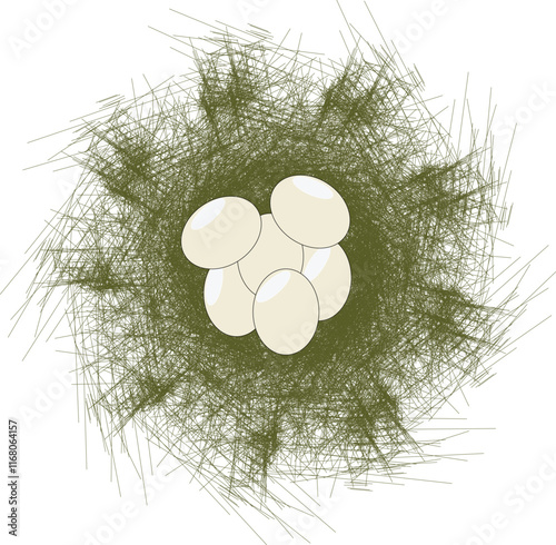 the illustration of eggs in the bird nest