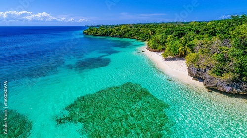 Vibrant Aerial View of Coral Reef System
