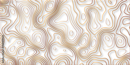 Topographic canyon geometric map relief texture with curved layers and shadow. abstract White background with a beautiful pattern, Topographic contour lines vector map seamless pattern vector.