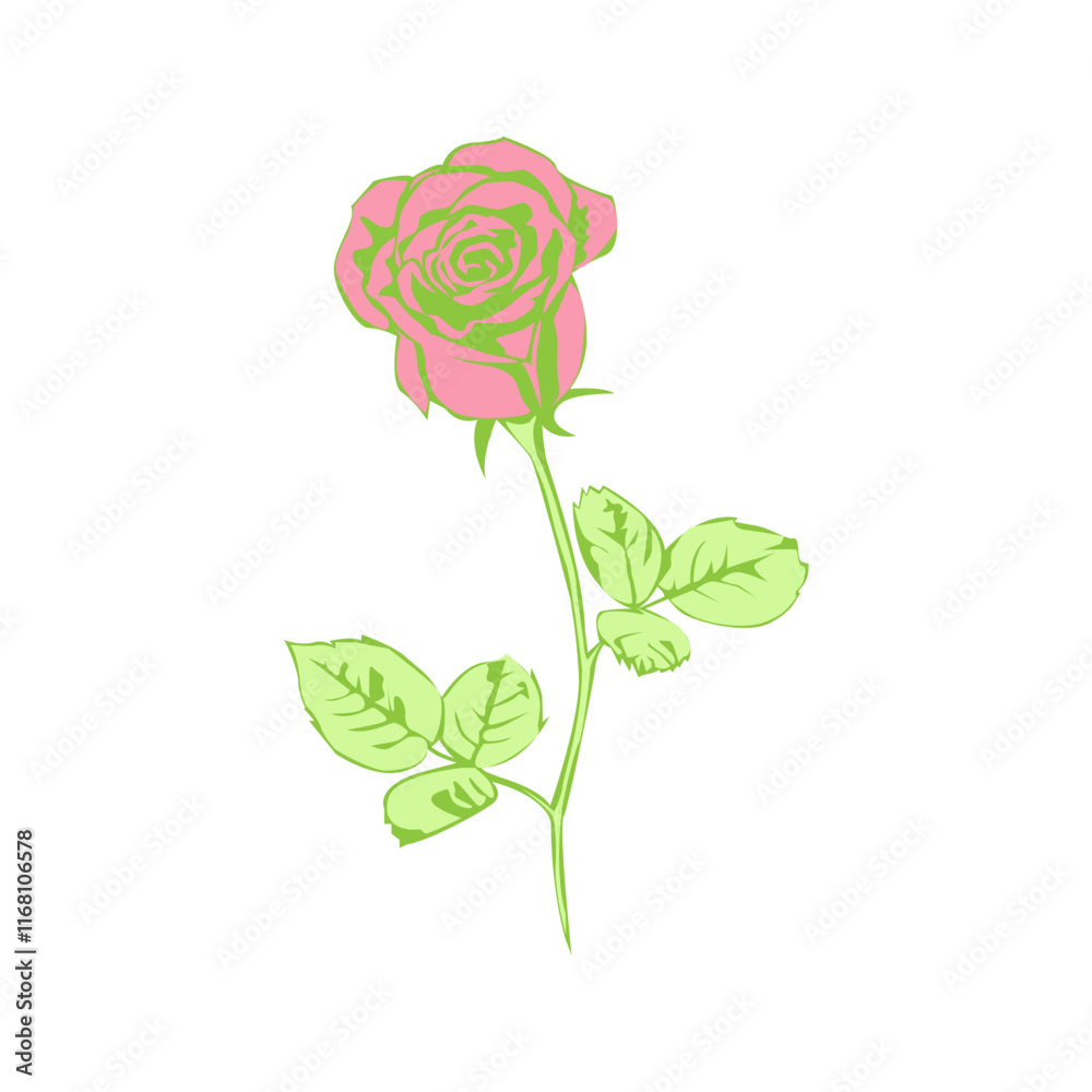 Obraz premium Rose illustration design template