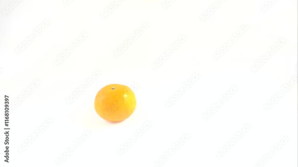 The Santang orange, or Citrus reticulata, is a fairly popular citrus species, especially in Southeast Asia. It is characterized by its relatively small size and fresh sweet, slightly sour flavor. The Santang orange, or Citrus reticulata, is a fairly popular citrus species, especially in Southeast Asia. It is characterized by its relatively small size and fresh sweet, slightly sour flavor.