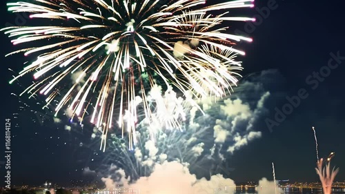 Fireworks Displaying Celebration and Joyful Moments