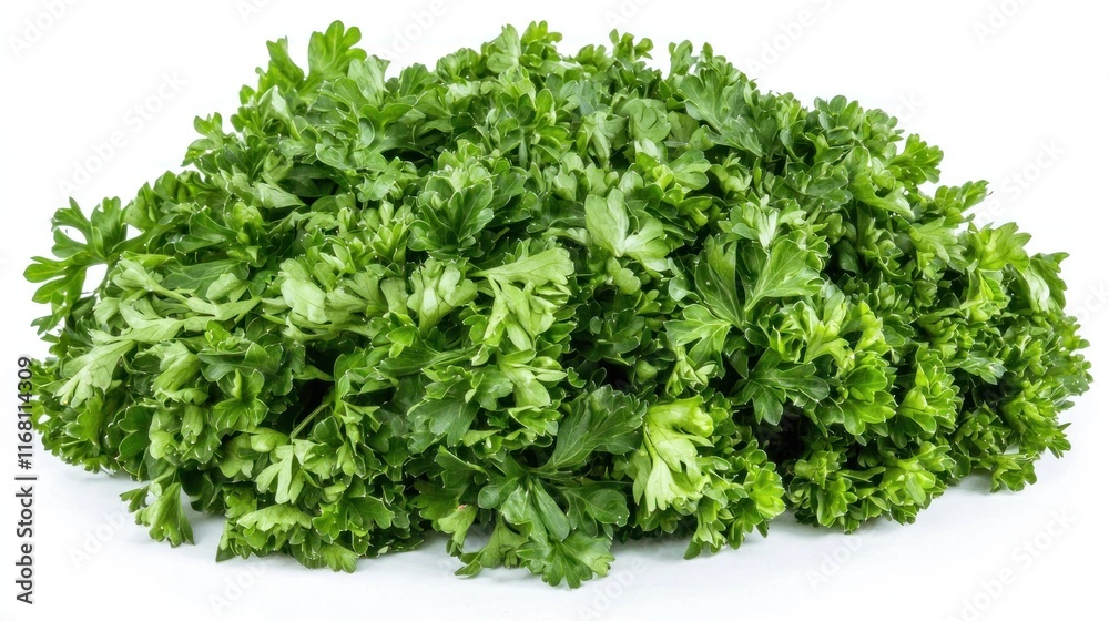 Fresh Green Parsley Bunch Isolated On White Background Fresh Green Parsley Bunch Isolated On White Background