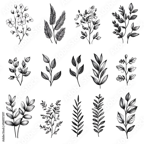 Elegant Black and White Botanical Illustration Set