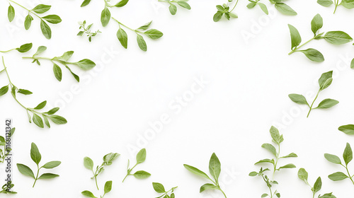 Green Sprigs Frame: A delic...