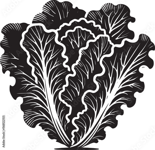 Lettuce leaf plant silhouette vector illustration isolated on a white background