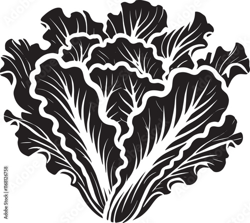 Lettuce leaf plant silhouette vector illustration isolated on a white background