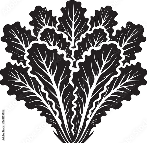 Lettuce leaf plant silhouette vector illustration isolated on a white background