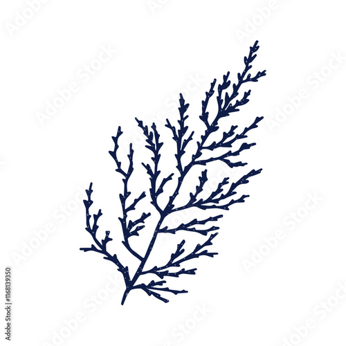 Coral branch, marine plant. Exotic seaweed, tropical underwater alga. Sea reef element. Natural organic undersea decoration. Ocean decor. Flat vector illustration isolated on white background