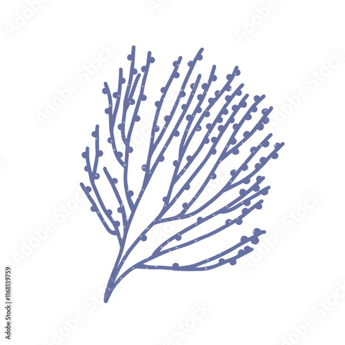 Sea plant branch. Underwater alga, seaweed. Under water coral reef flora. Exo...
