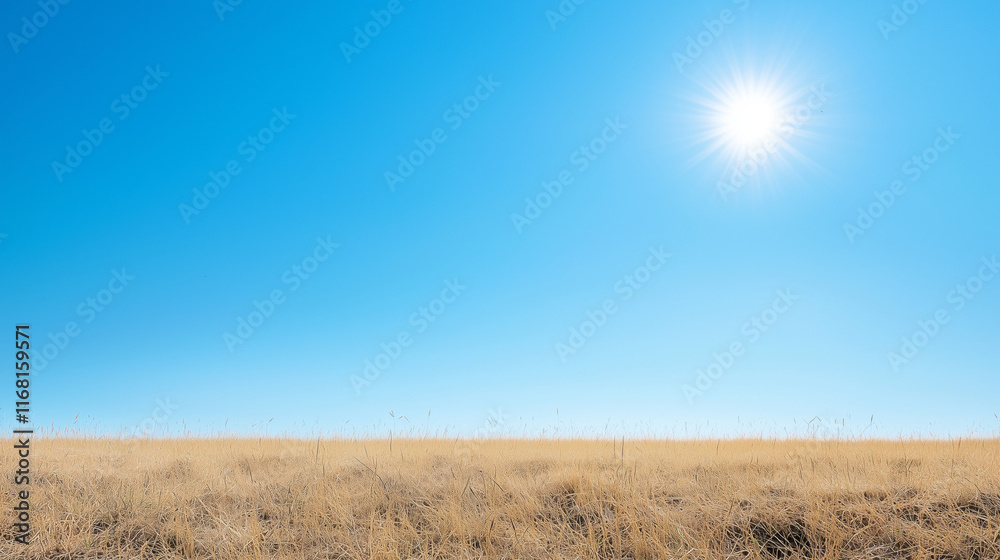 Sunny Day on the Savannah: A vast expanse of golden savanna stretches under a brilliant blue sky, the sun blazing overhead. The image evokes feelings of warmth, peace. Sunny Day on the Savannah: A vast expanse of golden savanna stretches under a brilliant blue sky, the sun blazing overhead. The image evokes feelings of warmth, peace.